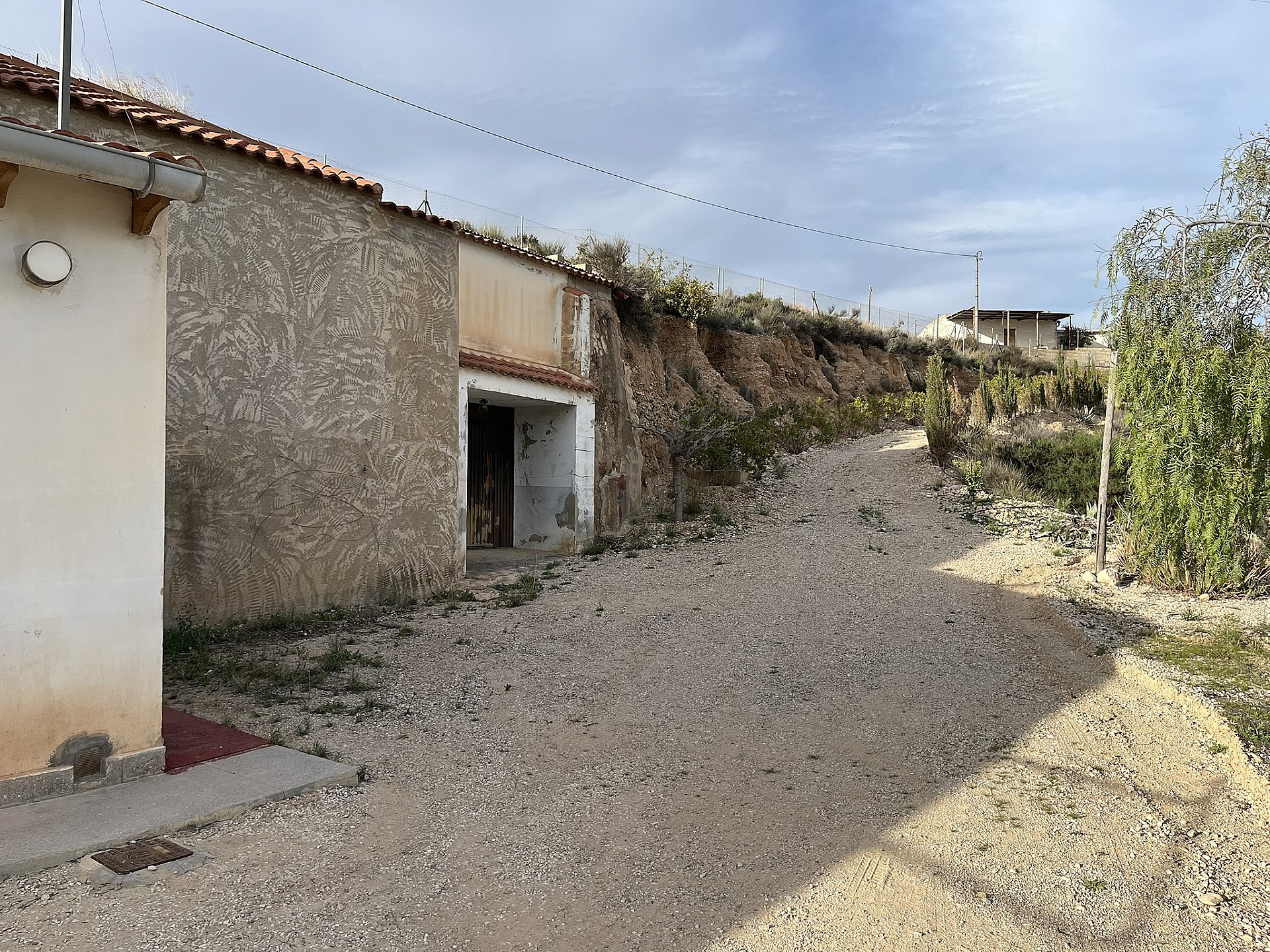 w_z6abveqjx7ysurntvcvu