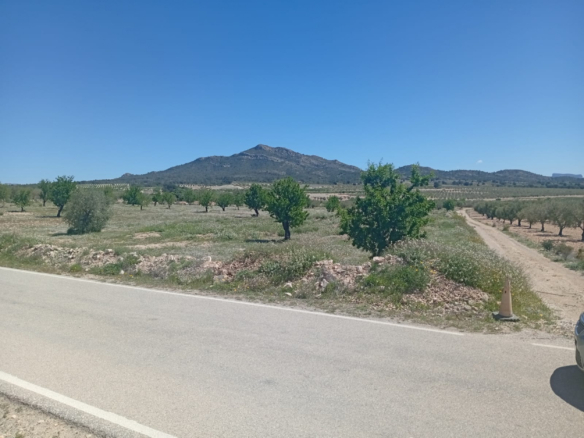 Building Plot in Salinas (Alicante)