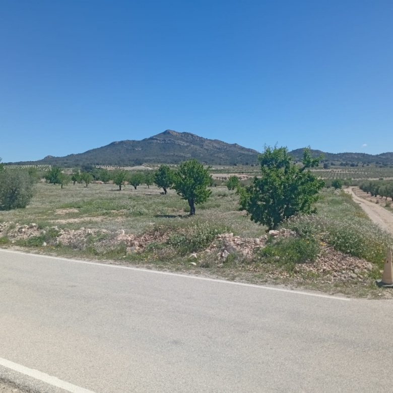 Building Plot in Salinas (Alicante)