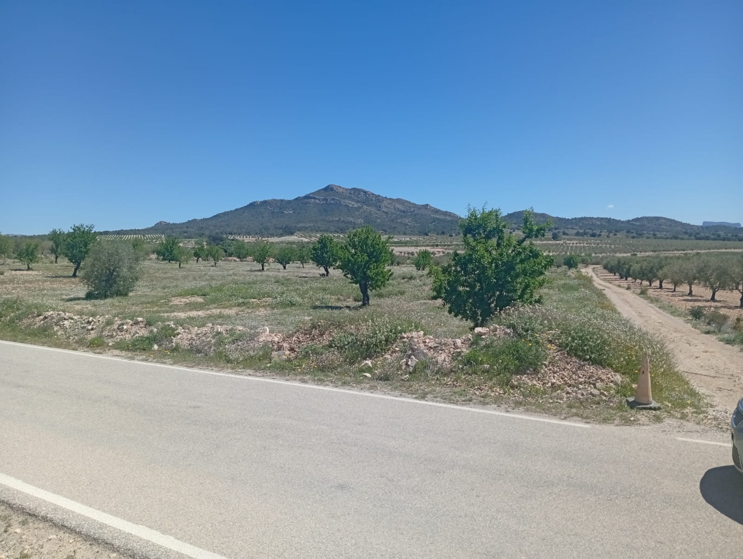 Building Plot in Salinas (Alicante) Building Plot in Salinas (Alicante)