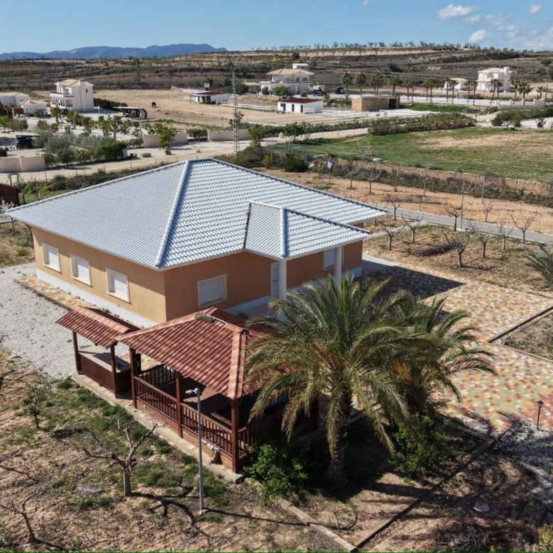 Villa in Pinoso (Alicante)