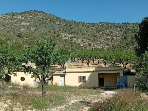 Höhlenhaus in Salinas (Alicante)