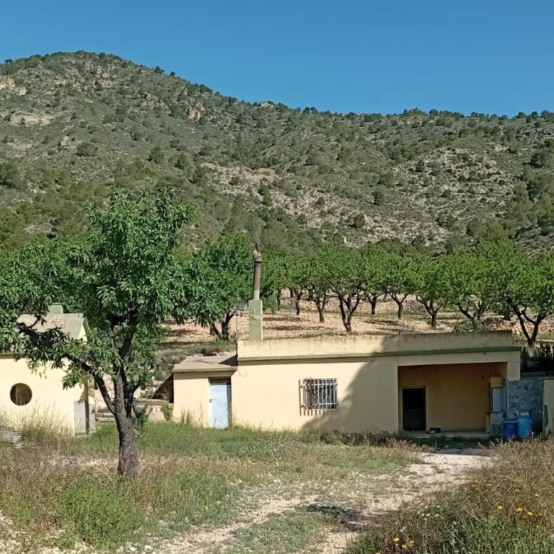 Höhlenhaus in Salinas (Alicante)
