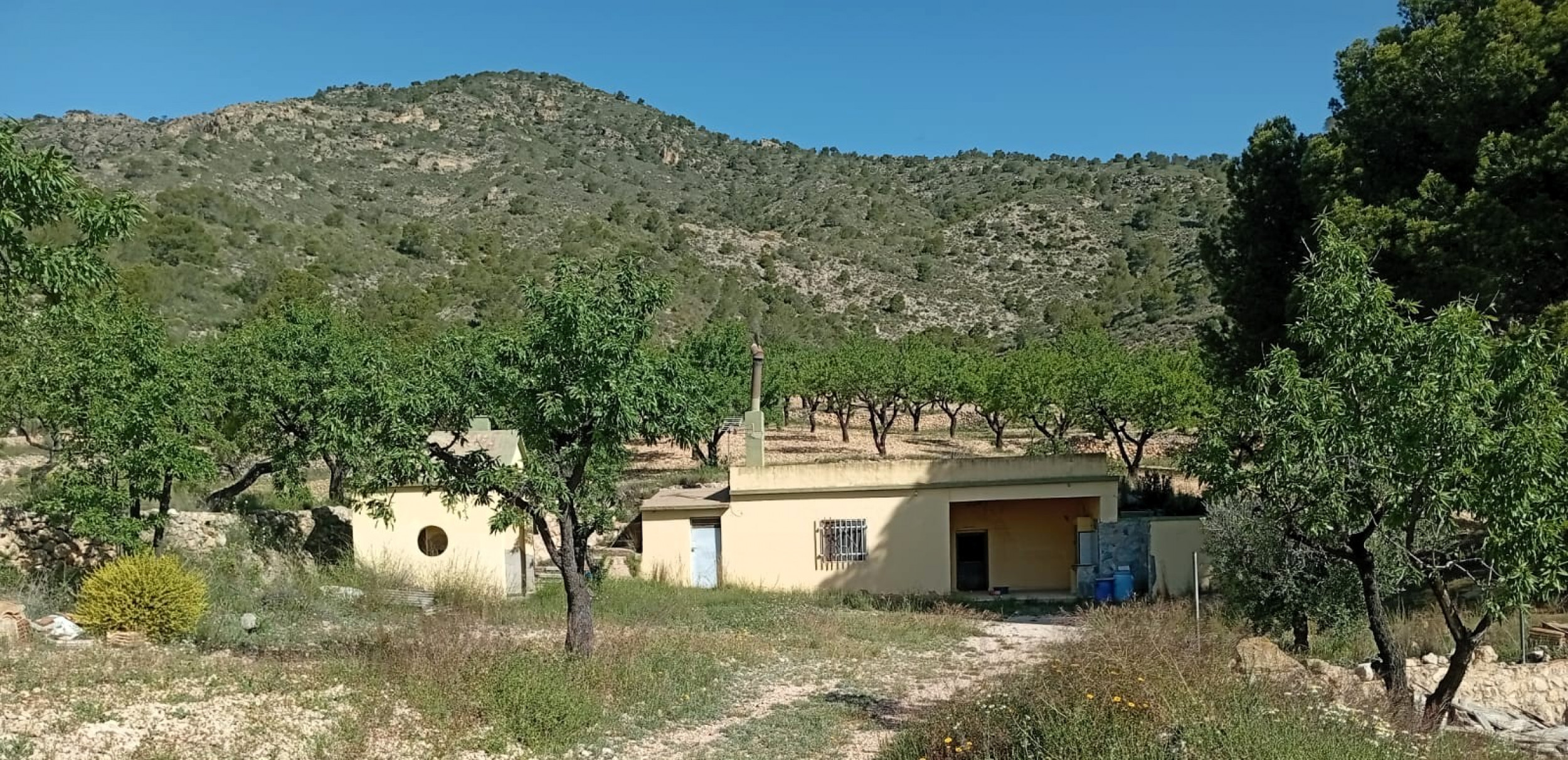 Höhlenhaus in Salinas (Alicante) Höhlenhaus in Salinas (Alicante)