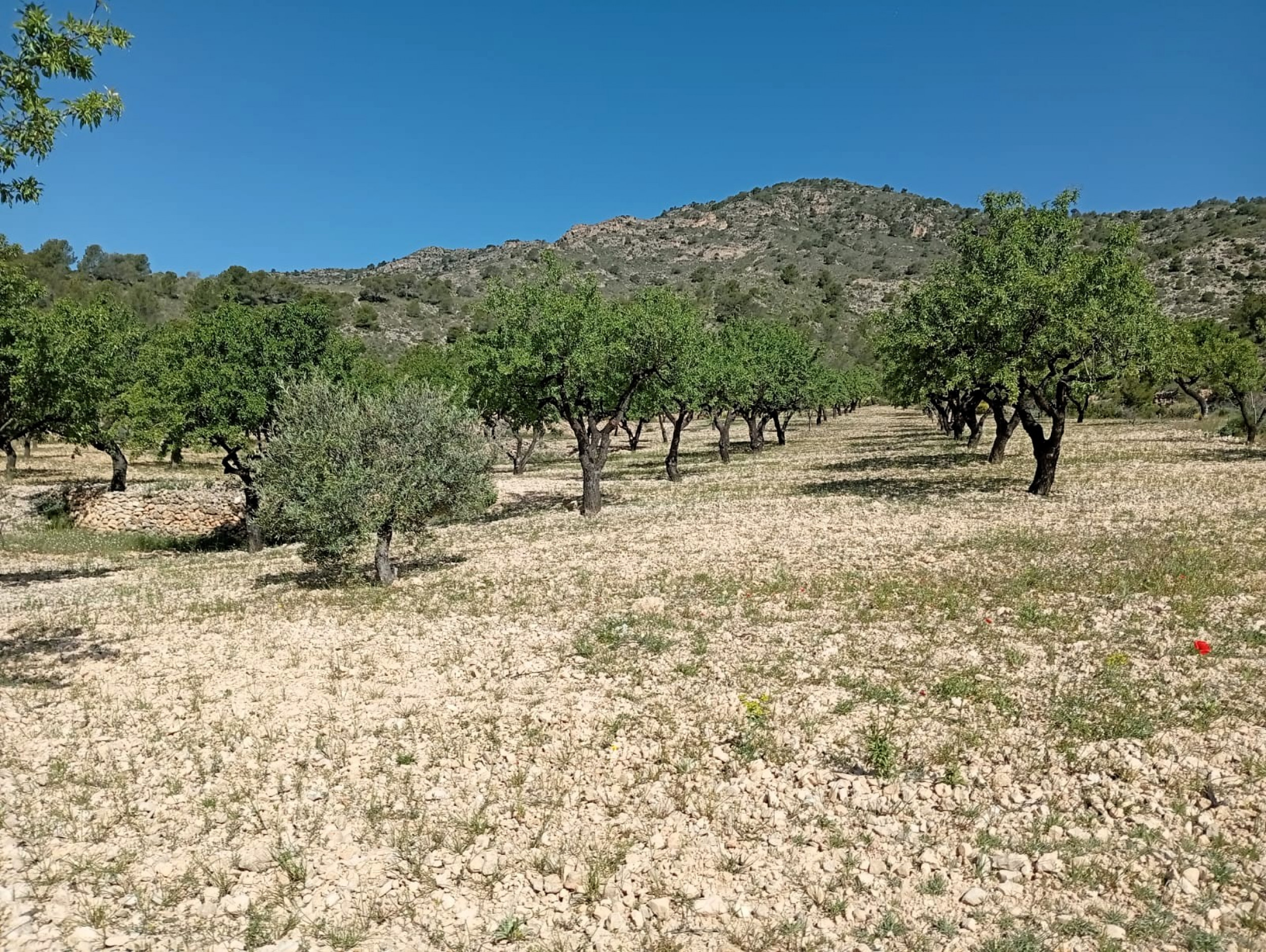 property_attachment_1qax27kbea_20260428113246