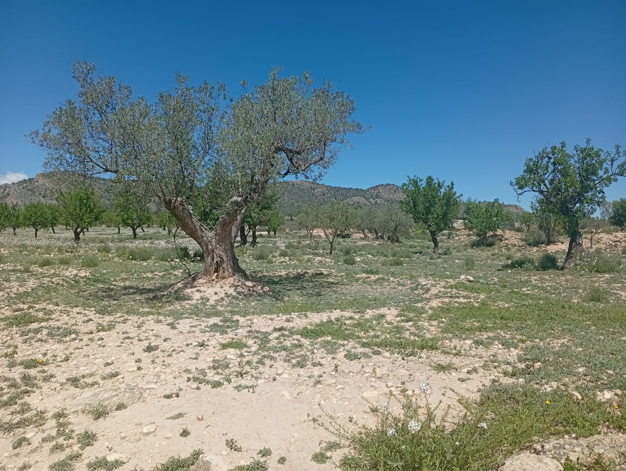 property_attachment_1vv9vmdp7t_20260420025655