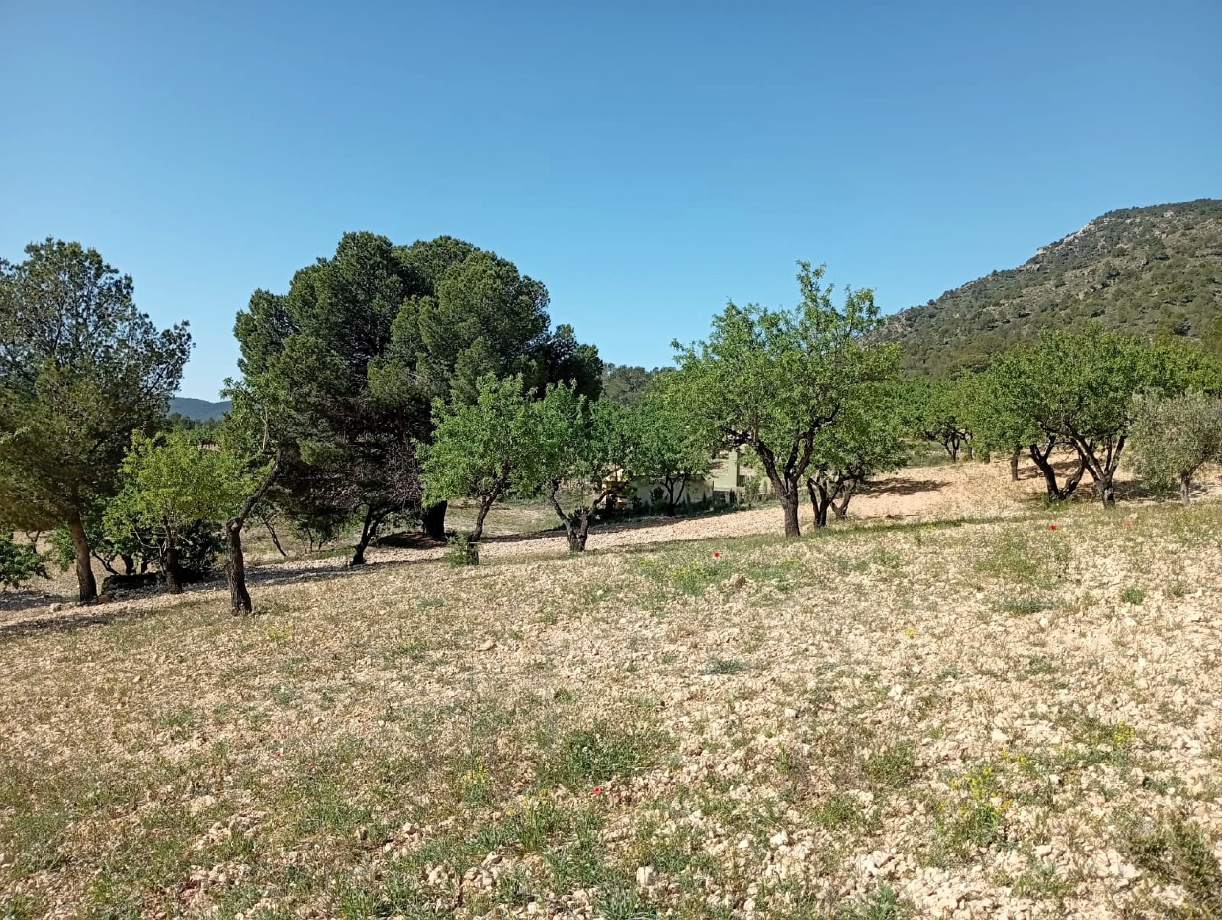 property_attachment_1w801ksgs3_20260428113244