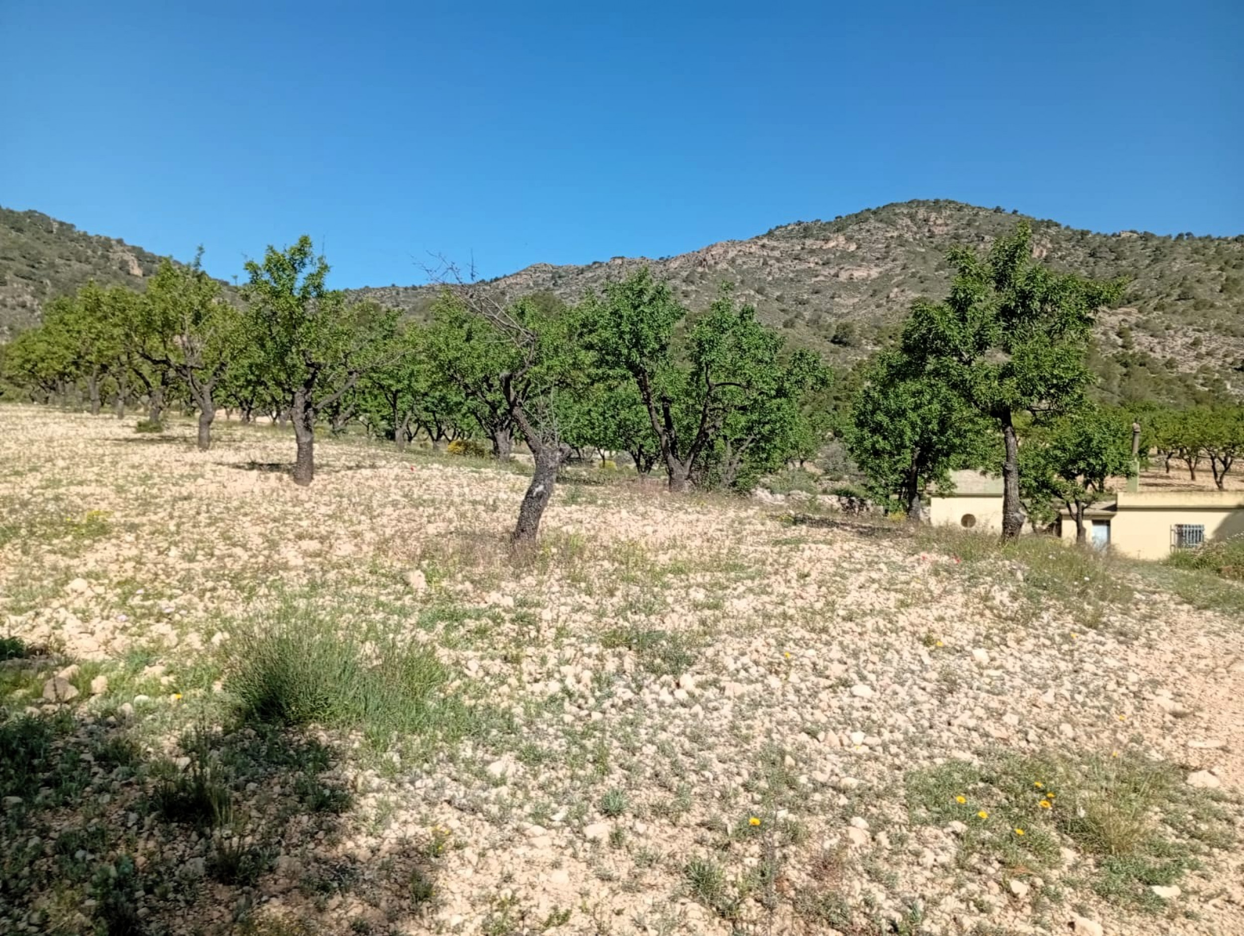 property_attachment_1wppoaoh0k_20260428113237