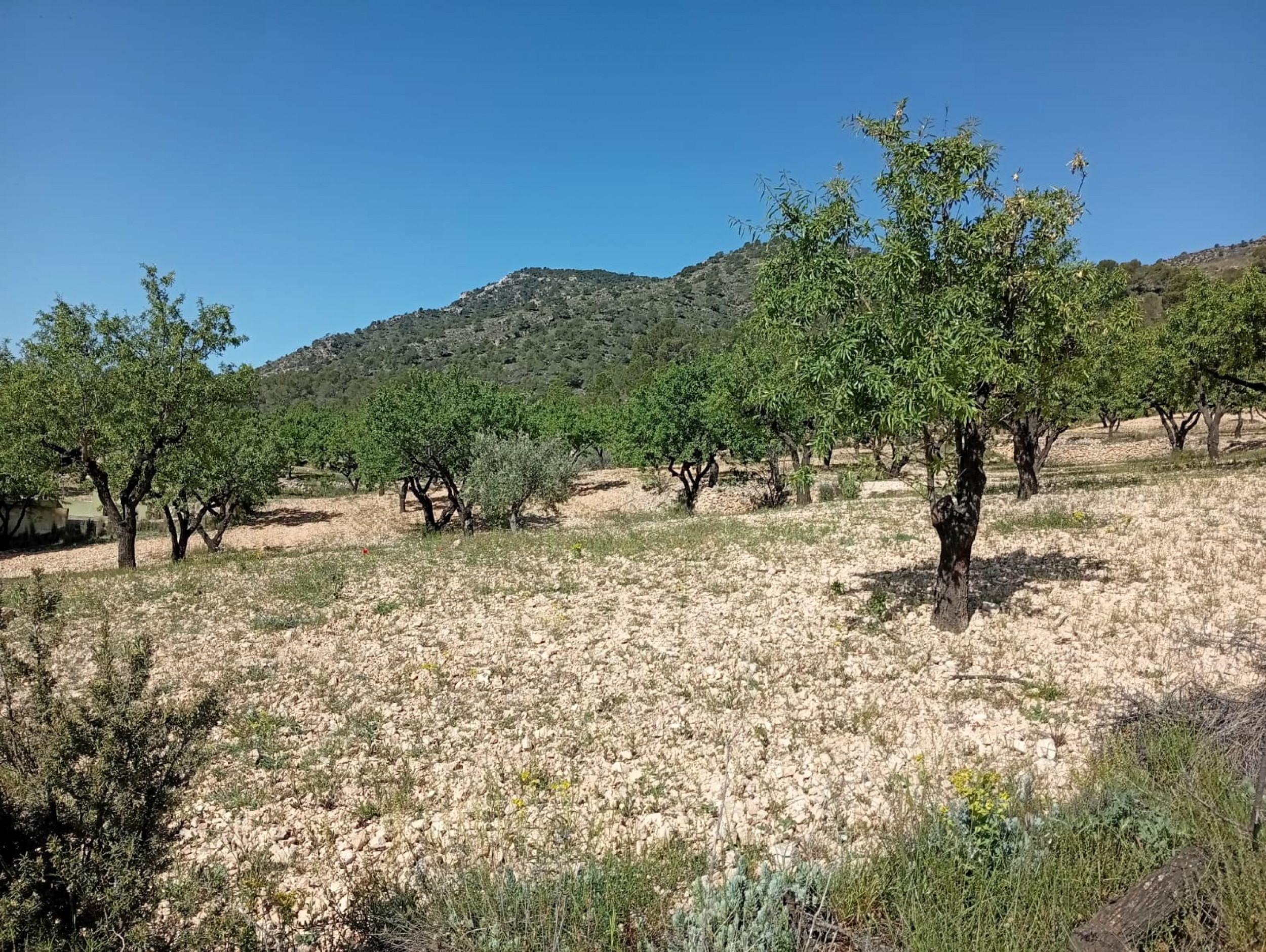 property_attachment_1ycgkfcc4k_20260428113243