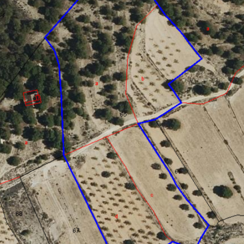 Building Plot in Monovar (Alicante)
