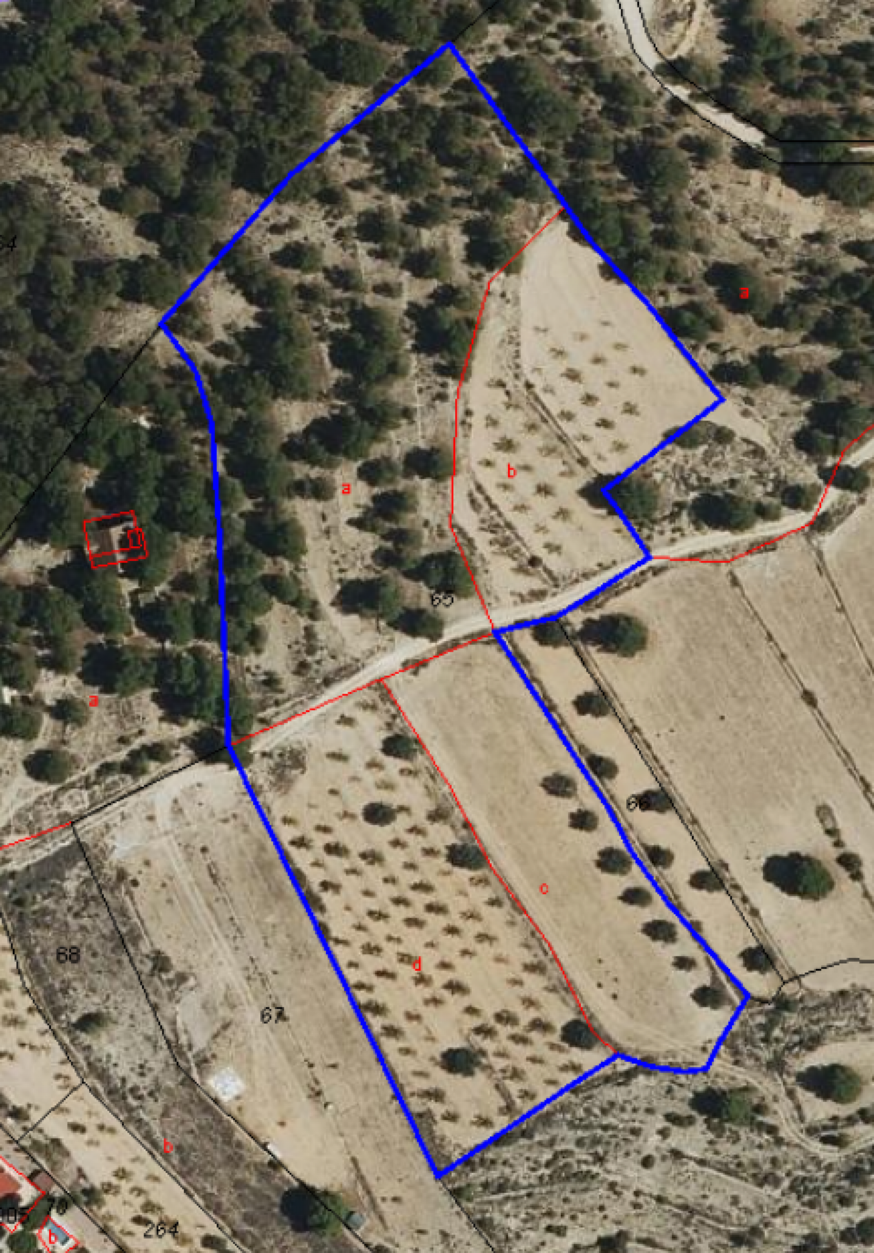 Building Plot in Monovar (Alicante) Building Plot in Monovar (Alicante)