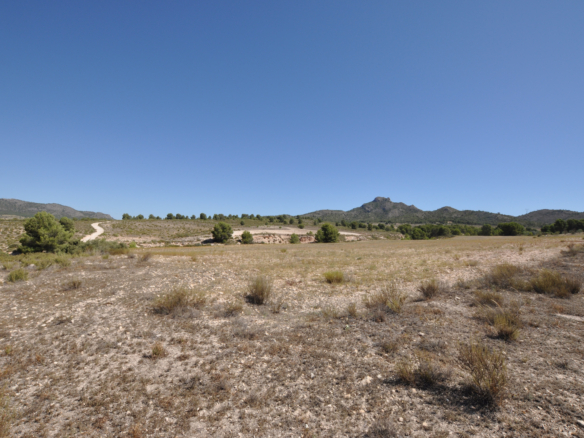 Building Plot in Salinas (Alicante)