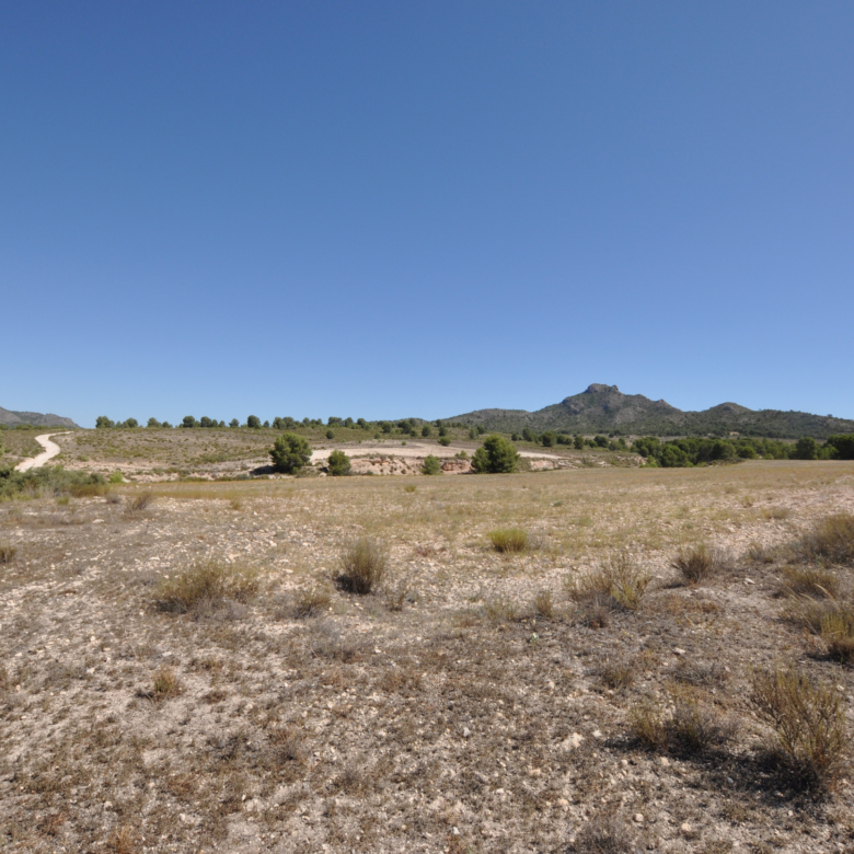 Building Plot in Salinas (Alicante)