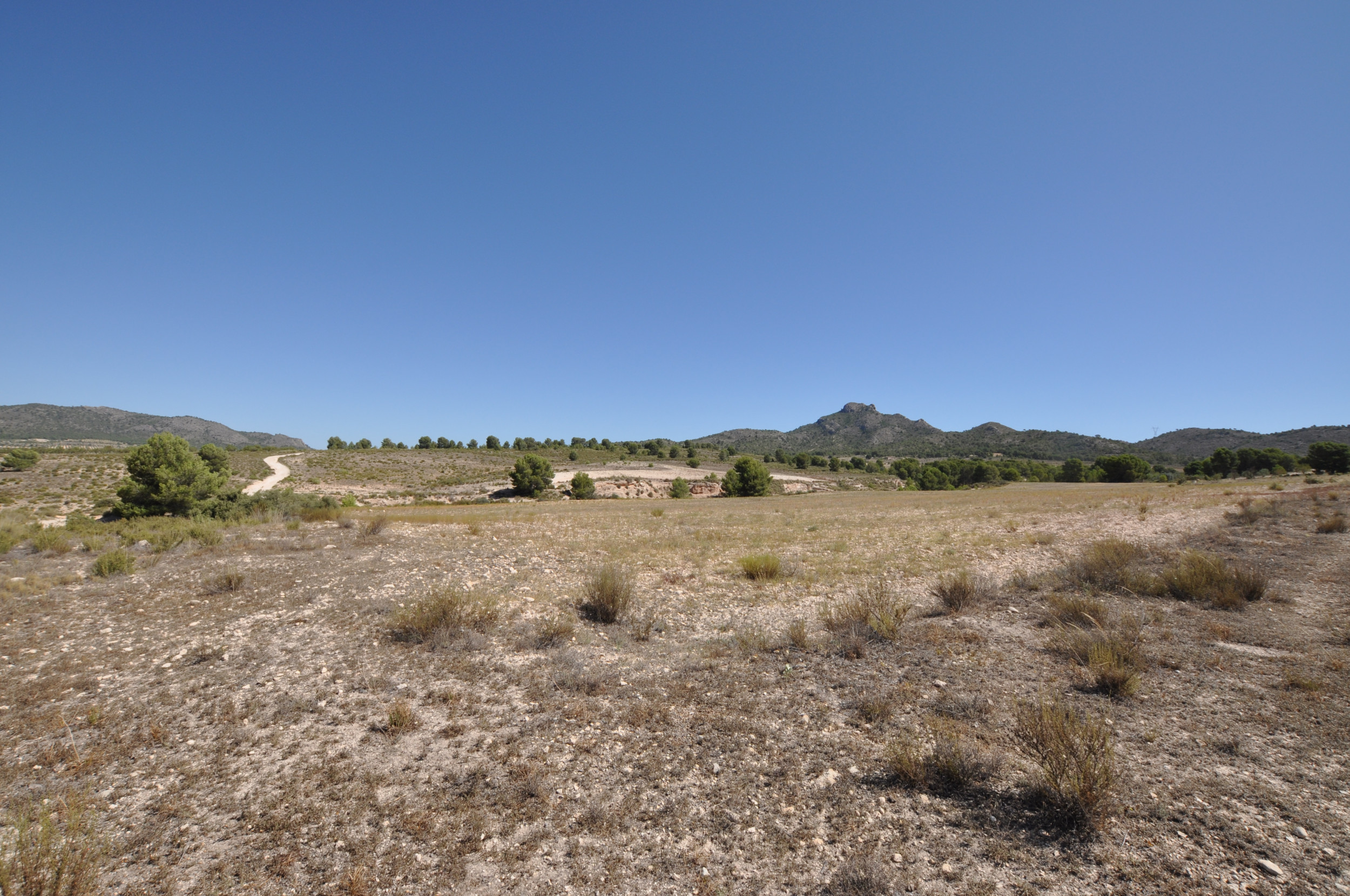 Building Plot in Salinas (Alicante) Building Plot in Salinas (Alicante)